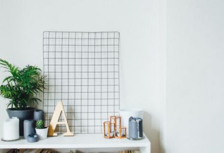 Household Brand - potted plants on table