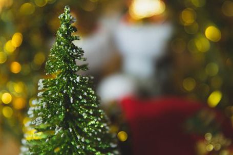 Chanel's Evolution: Insightful Glimpse - Decorative Christmas fir with wreath
